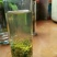 五峰绿茶二级