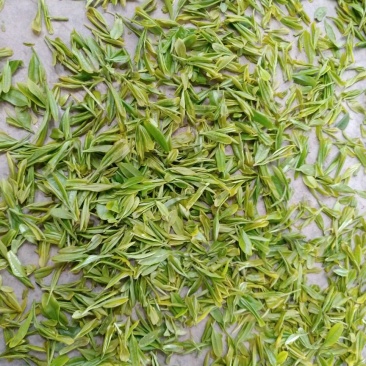 五峰绿茶二级