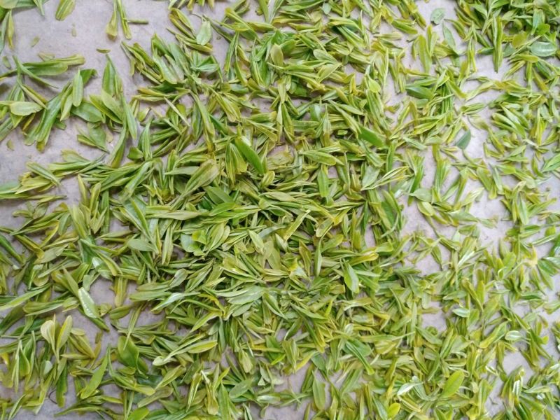 五峰绿茶二级
