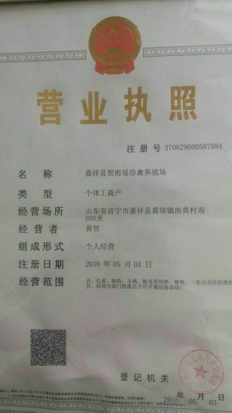 斗鸡6~7斤
