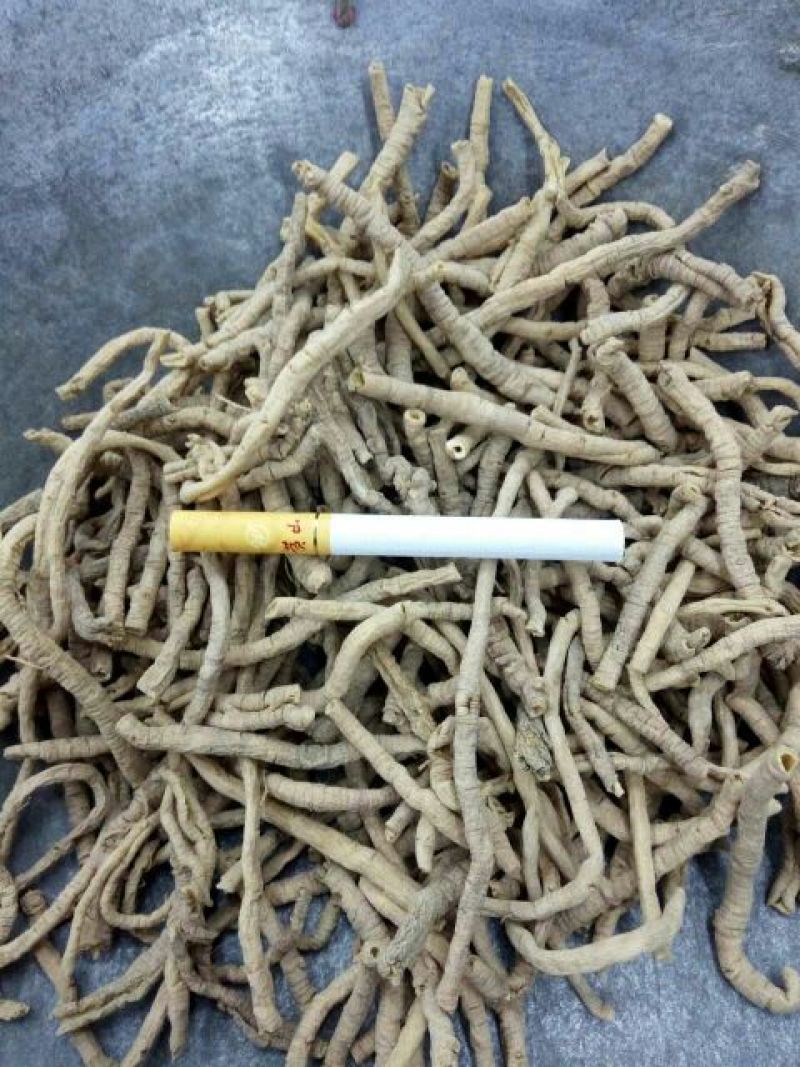 远志山西1公斤起批无硫无添加不包邮只做正品