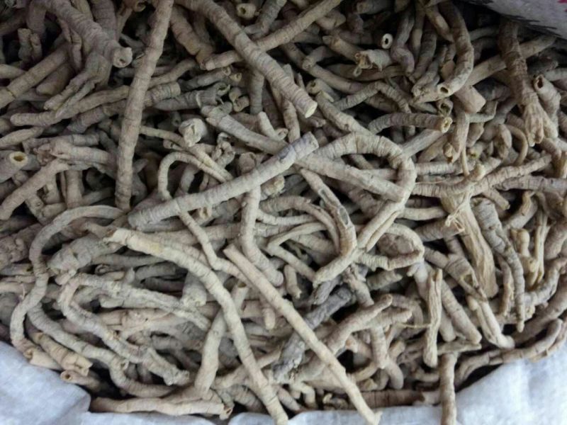 远志山西1公斤起批无硫无添加不包邮只做正品