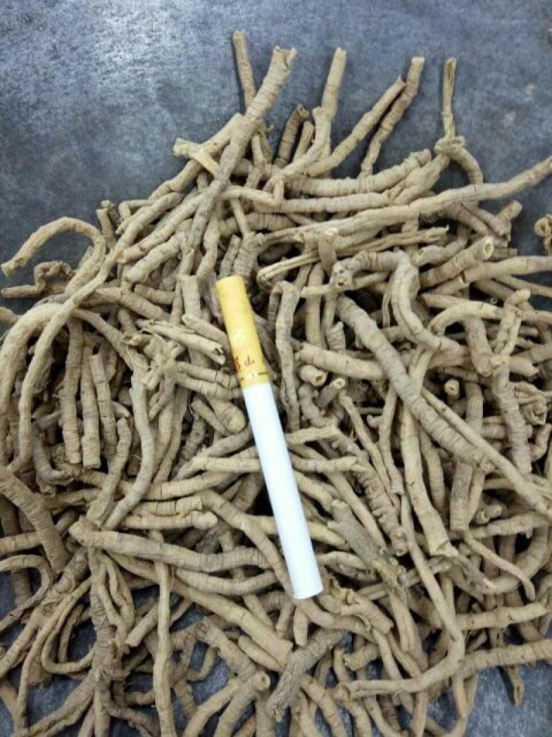 远志山西1公斤起批无硫无添加不包邮只做正品