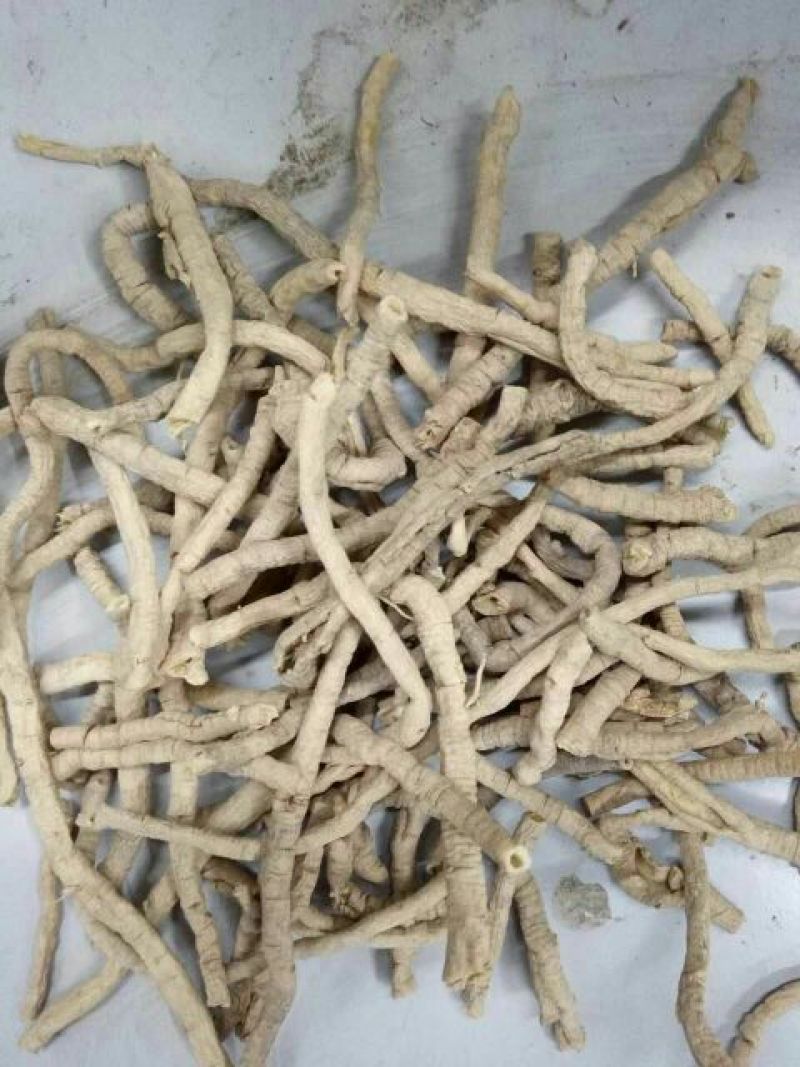 远志山西1公斤起批无硫无添加不包邮只做正品