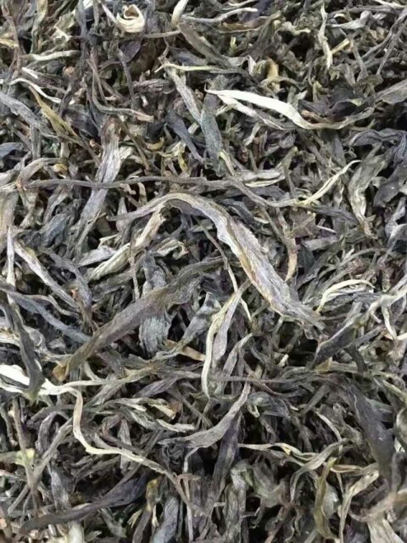 古树茶一级