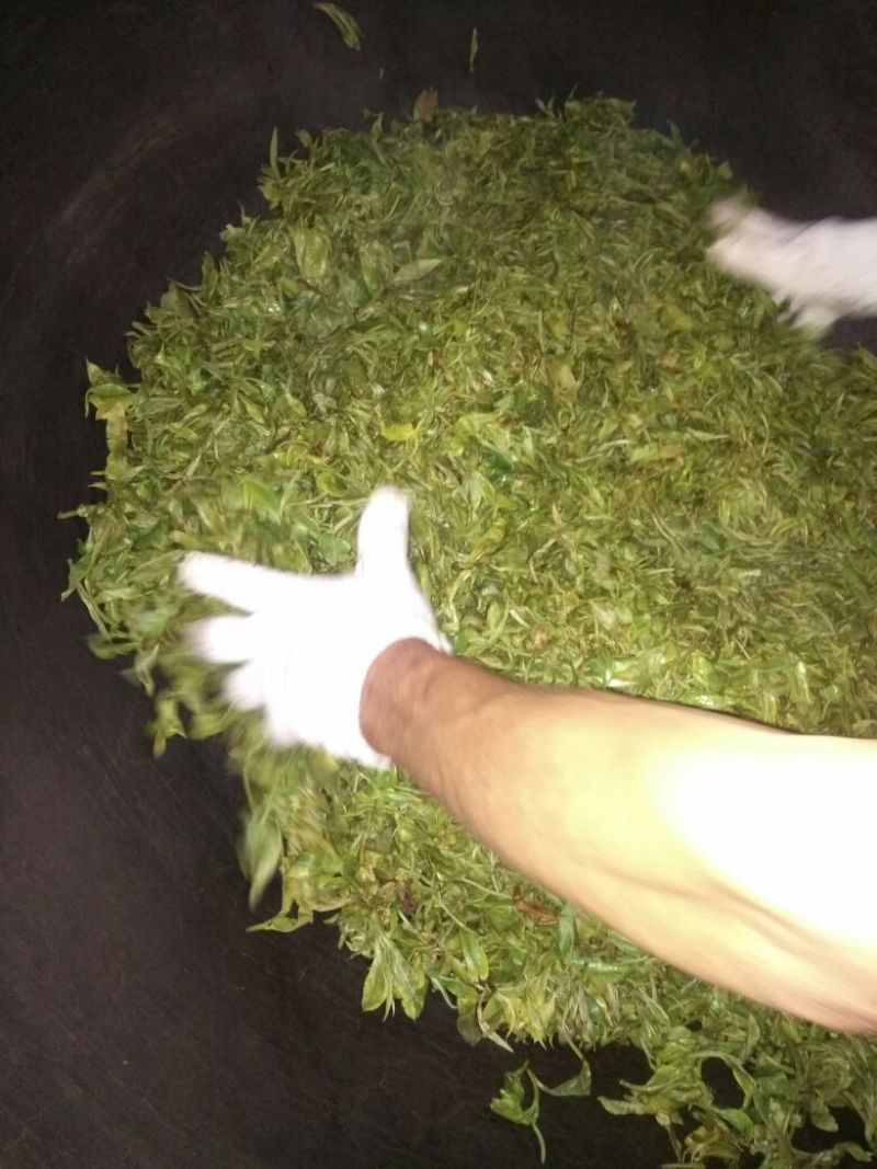 普洱绿茶