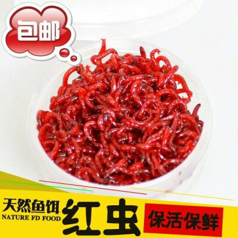 红虫鲜活