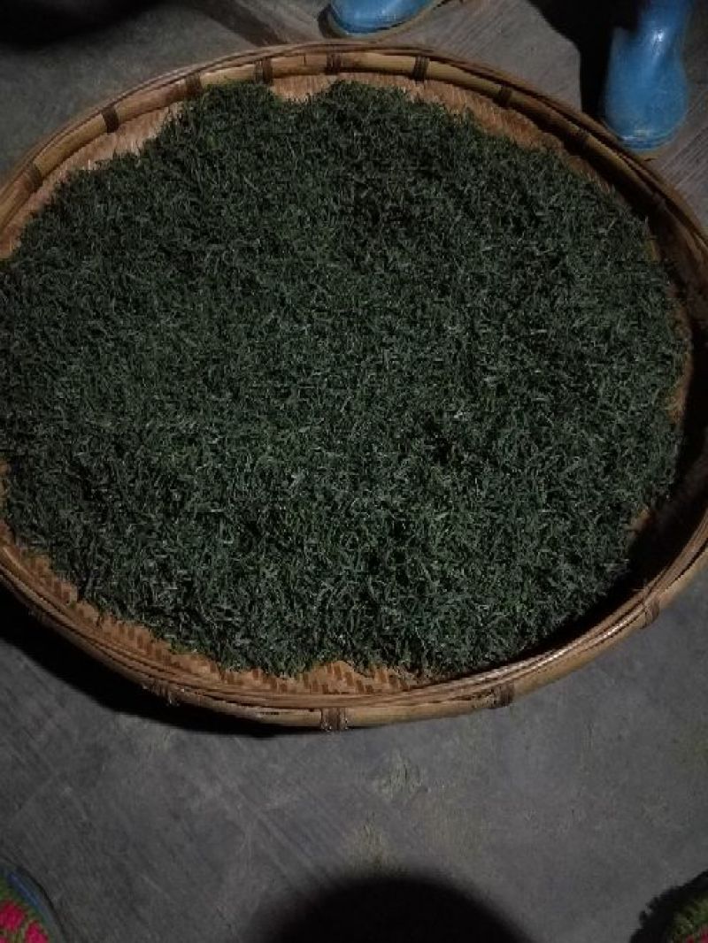 古树茶一级