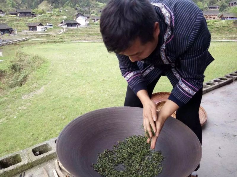 古树茶一级