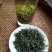 古树茶一级