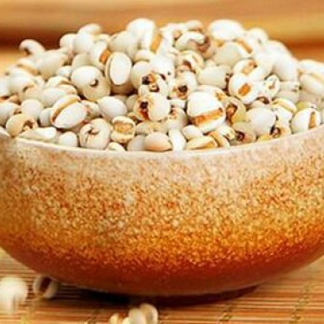 薏米小薏米真空450克