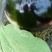 紫光圆茄2两以上