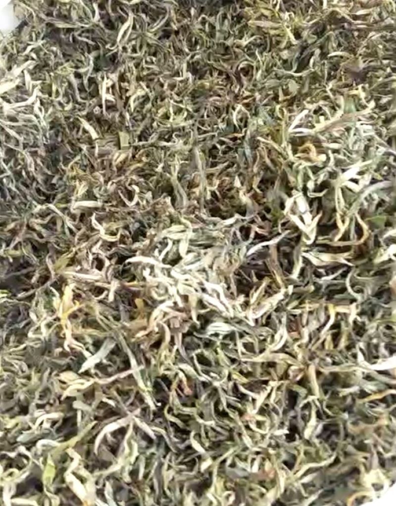 古树普洱茶二级