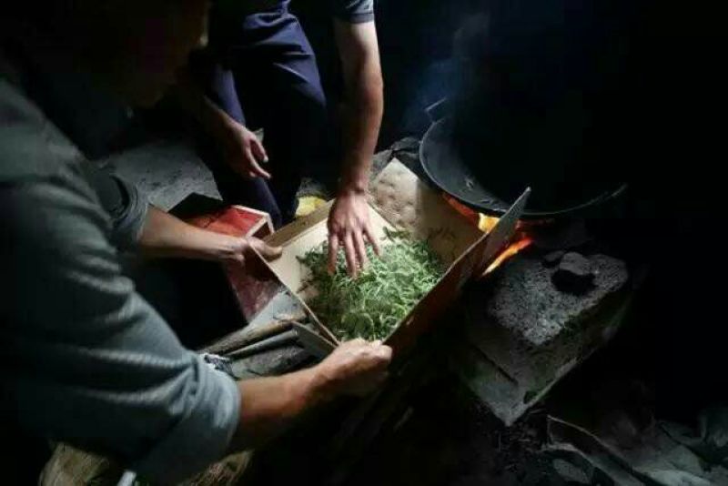 古树普洱茶二级