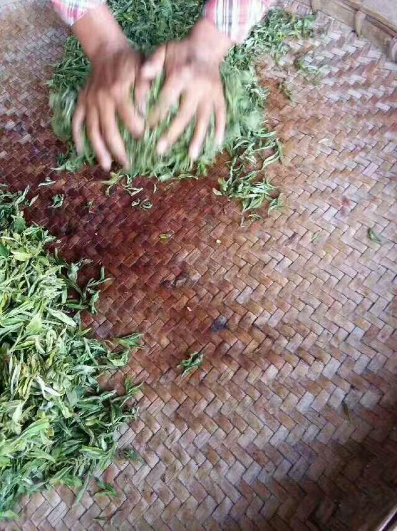 古树普洱茶二级