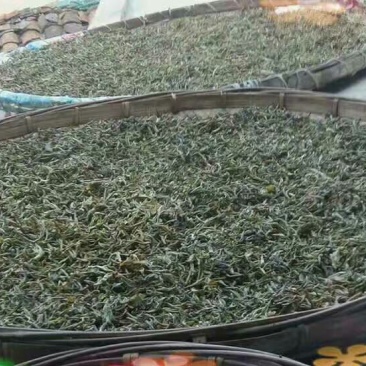 古树普洱茶二级