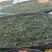 古树普洱茶二级