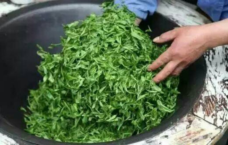 古树普洱茶二级