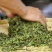 古树普洱茶二级