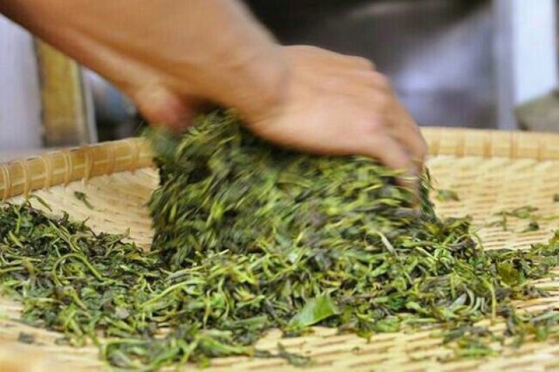 古树普洱茶二级