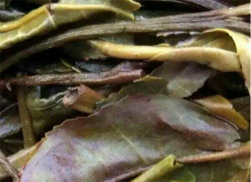 古树普洱茶二级