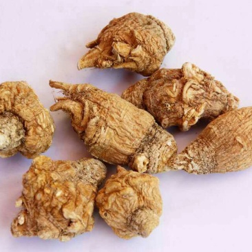 丽江黄玛卡干货40头左右10斤包邮