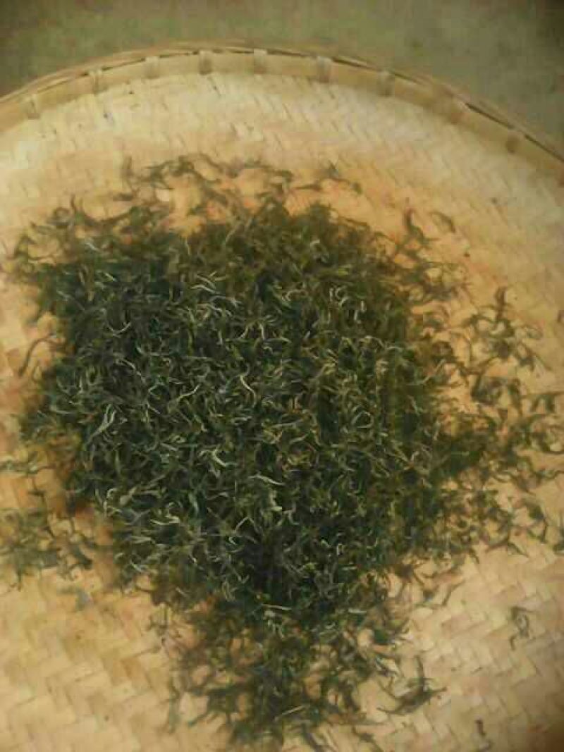 普洱绿茶
