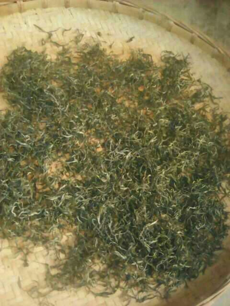 普洱绿茶