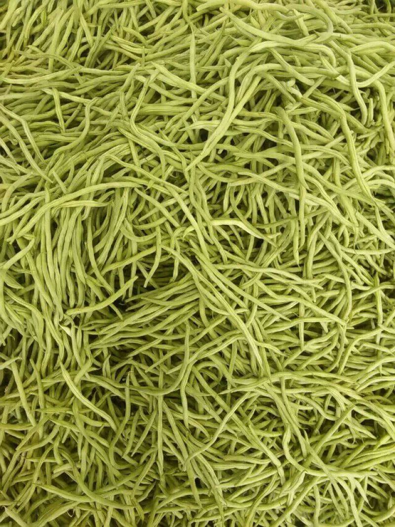 刚刚上市的豆角架豆王豆角20厘米以上