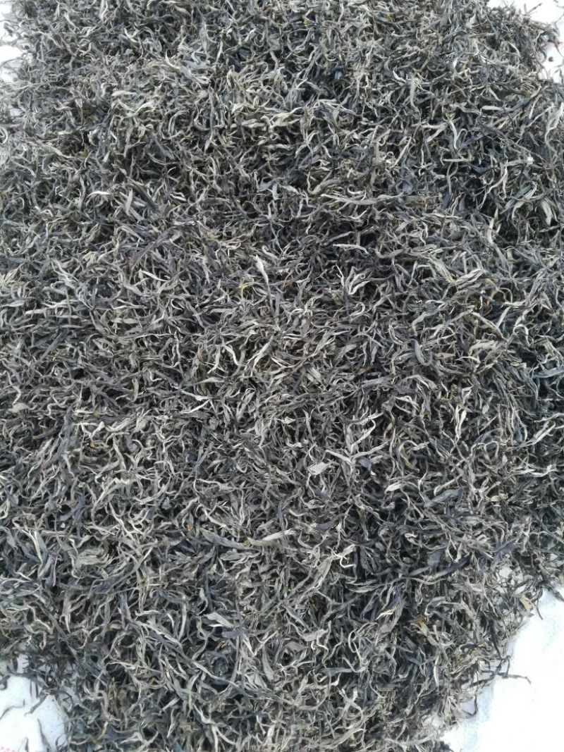 普洱绿茶