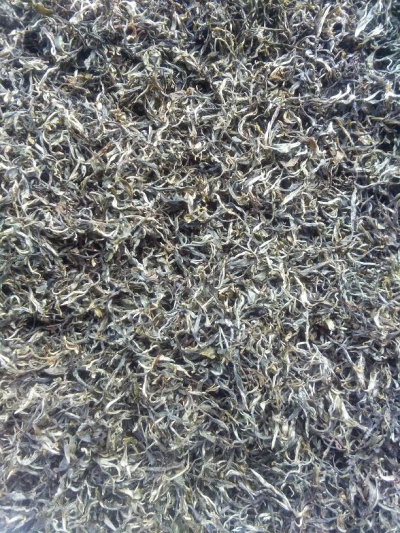 百年大树茶一级
