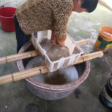 蕨根淀粉散装