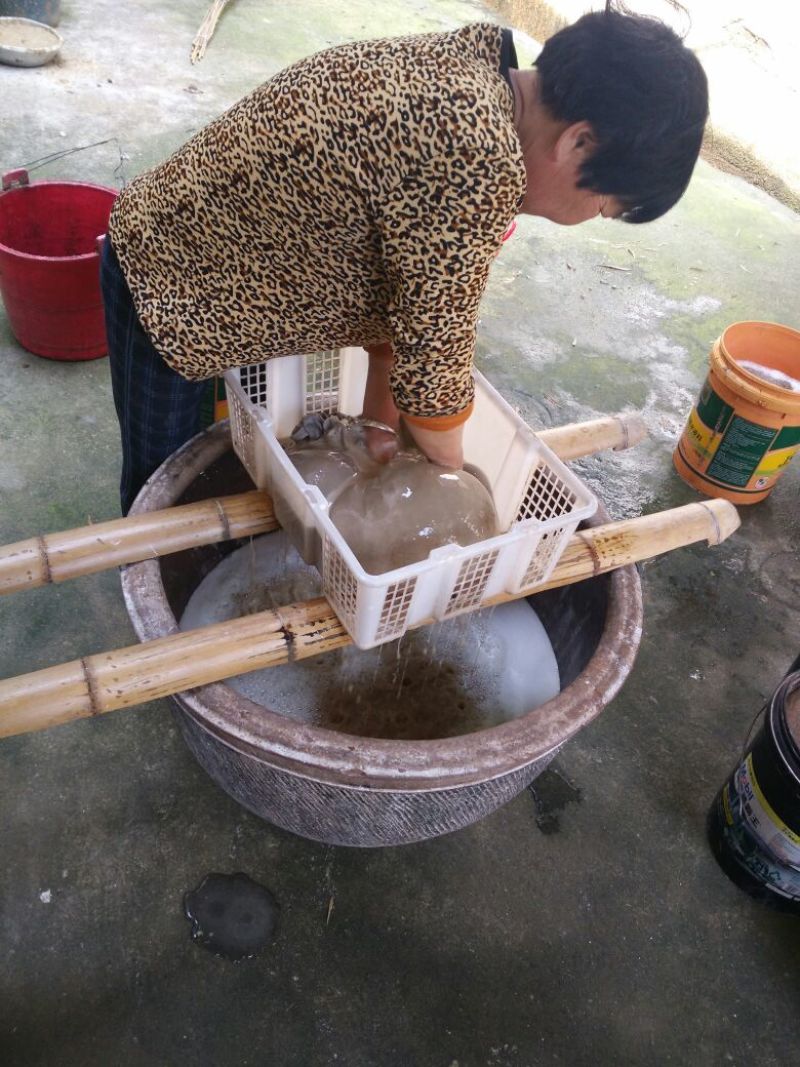 蕨根淀粉散装