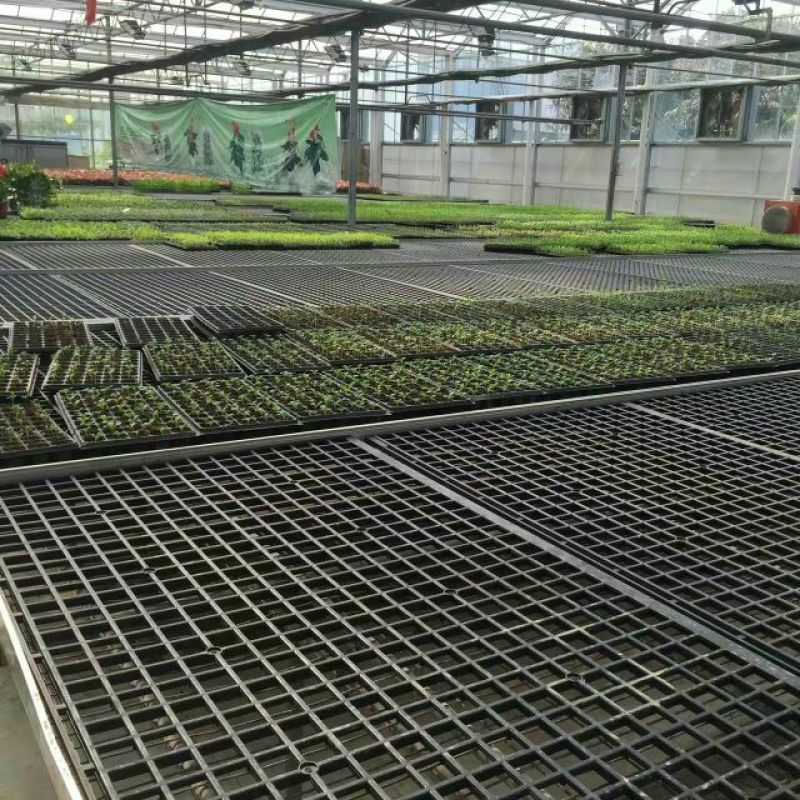 营养盘，育苗盘，穴盘，种植盘，育苗穴盘植物育苗盘
