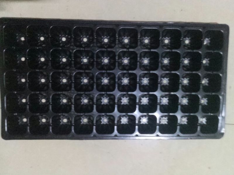 穴盘50孔