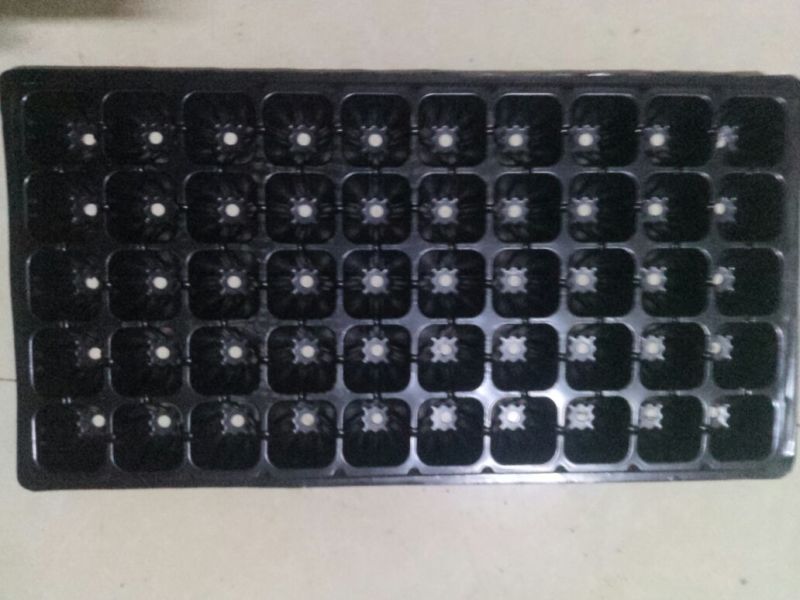 穴盘50孔