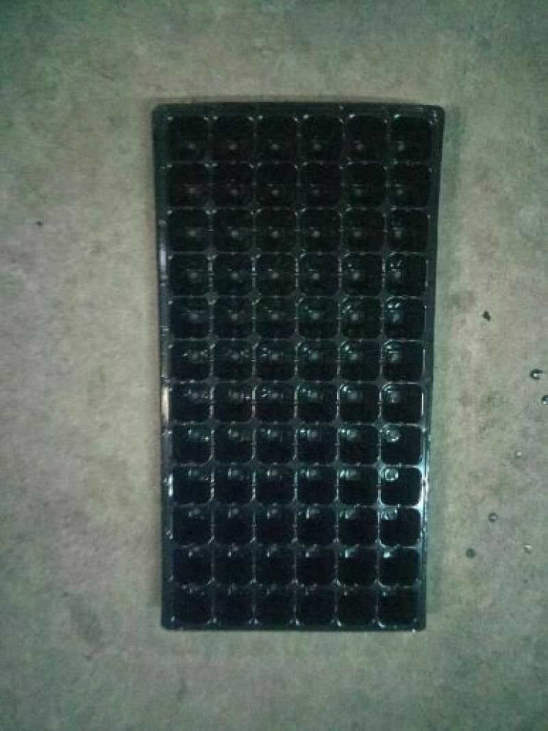 穴盘128孔