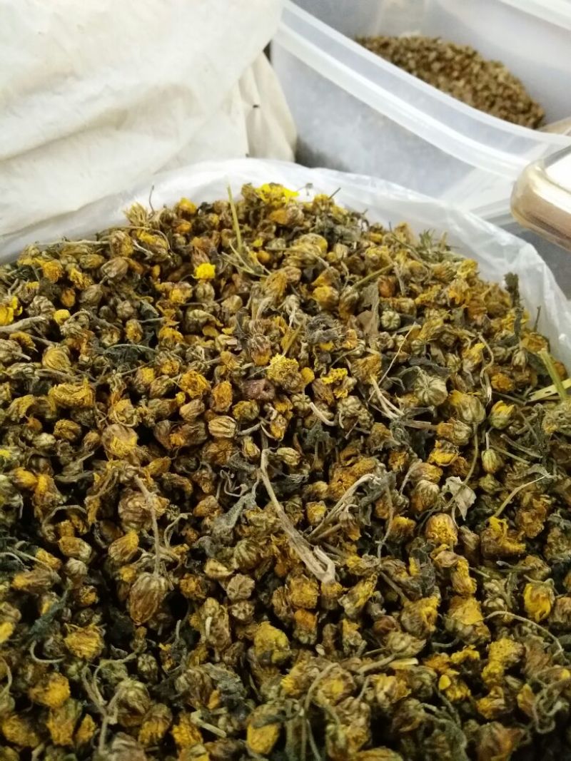 野菊花