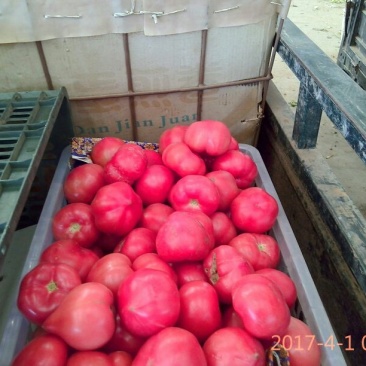 西红柿工厂食堂商超市场**
