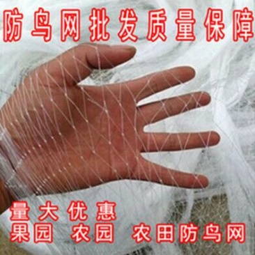 防鸟网聚乙烯果园鱼塘专用