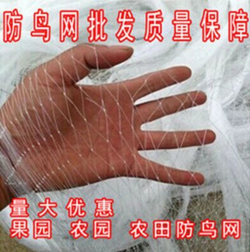防鸟网聚乙烯果园鱼塘专用