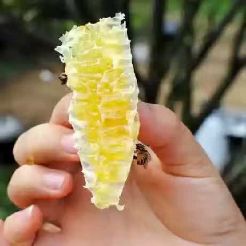 山花蜜