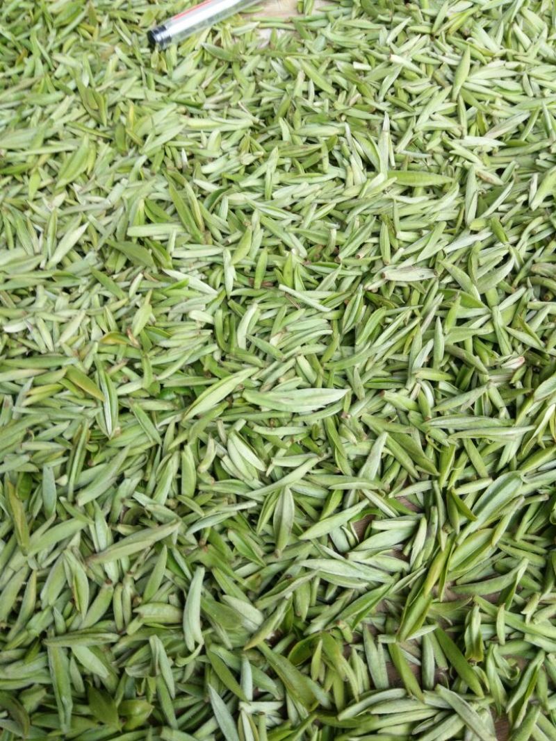 川茶特级