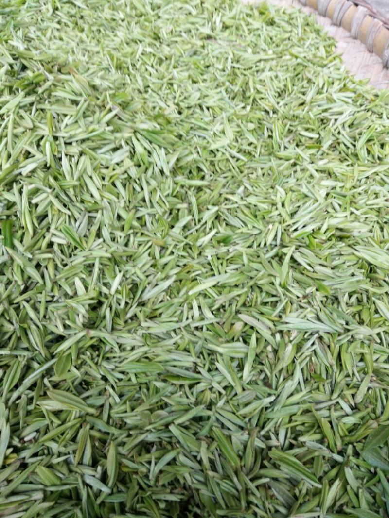 川茶特级