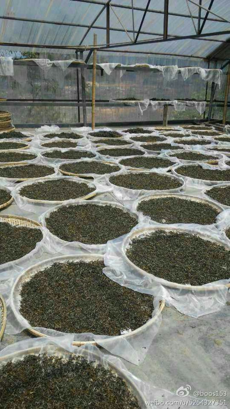 普洱茶