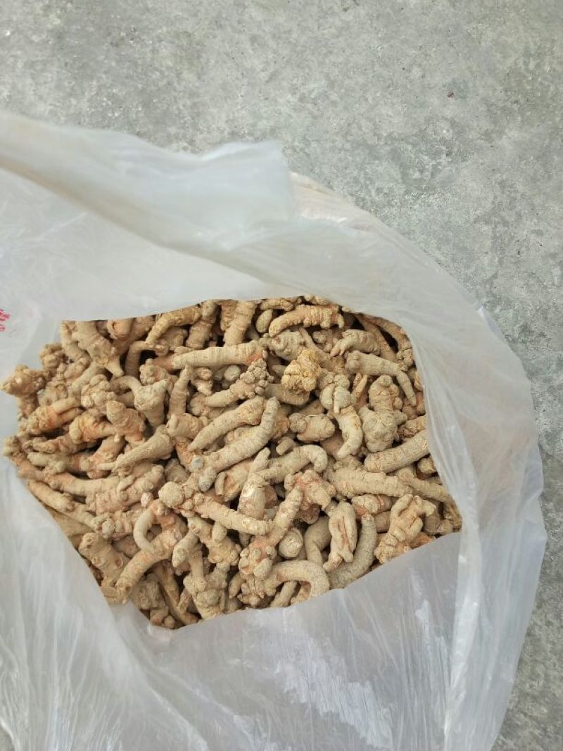 三七根茎30头选货