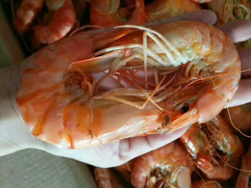 虾干一级