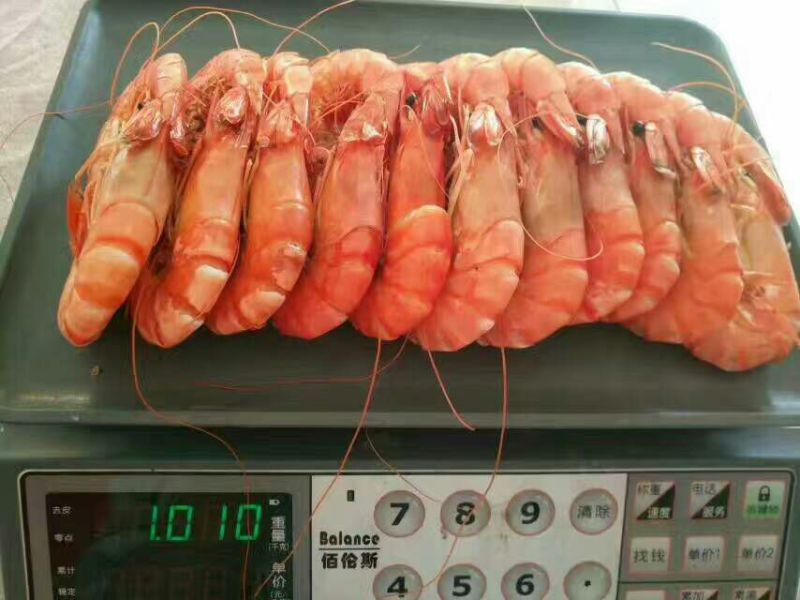 虾干一级