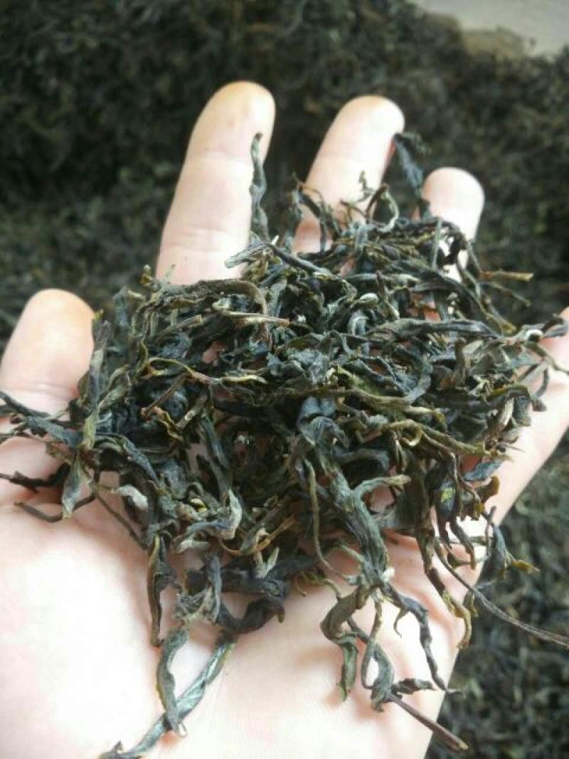 古树普洱茶一级