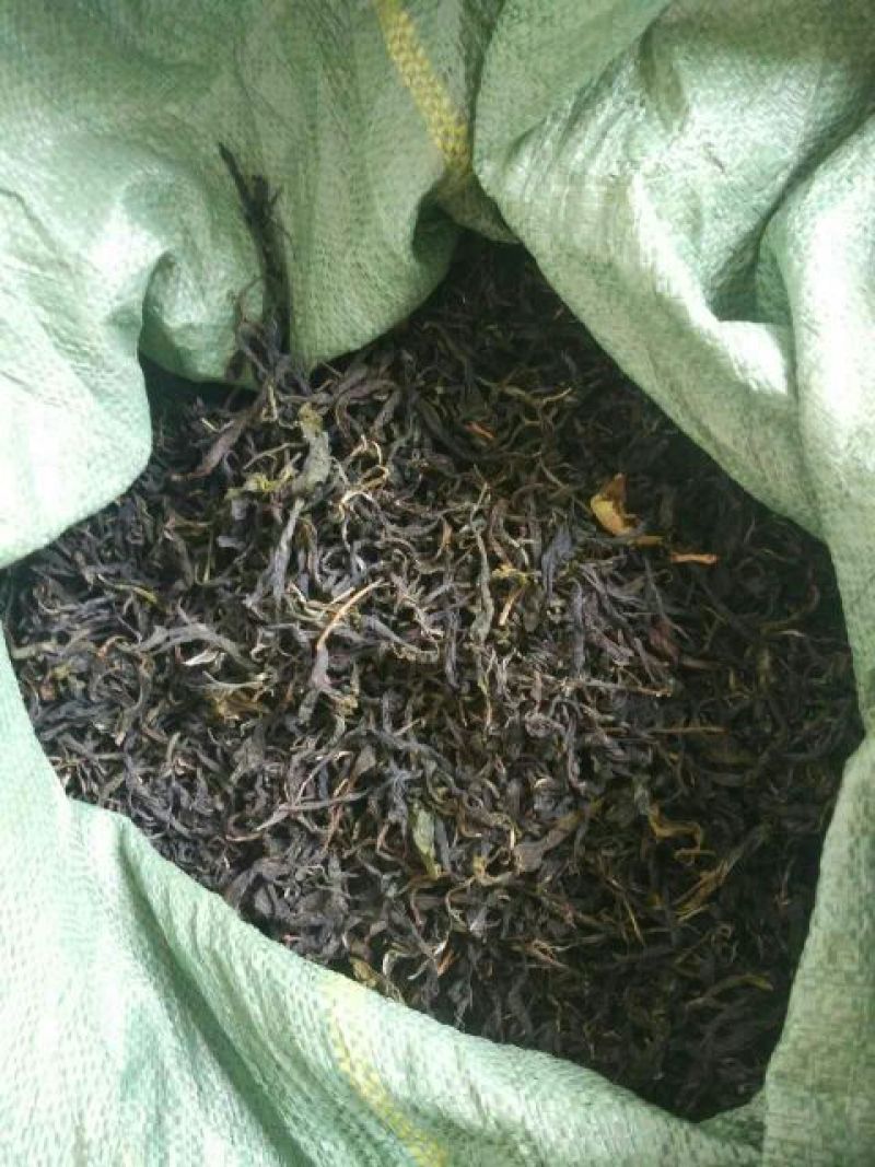 古树普洱茶一级